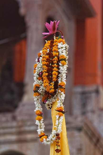 Varasani-Promenade sur le Gange-016